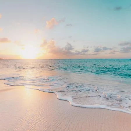 Enjoy The Sunset At Ocean Front 1Br Apartment - Pool On Site! Kailua-Kona Extérieur photo